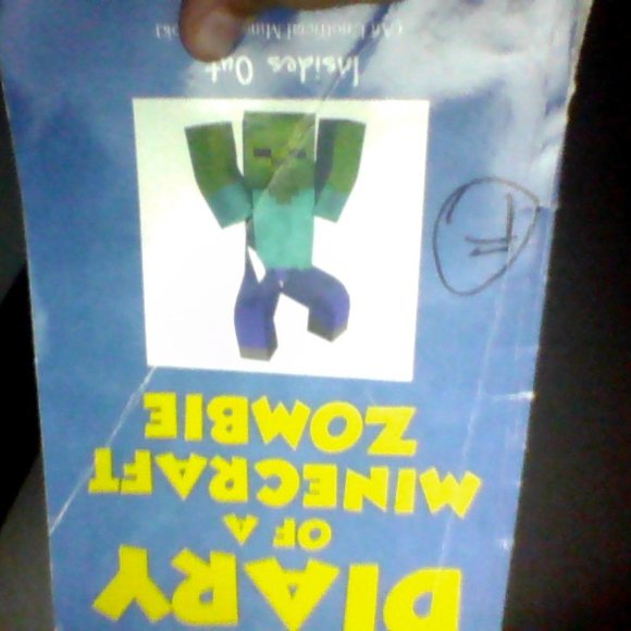 minecraft zombie - Picture 1 of 1